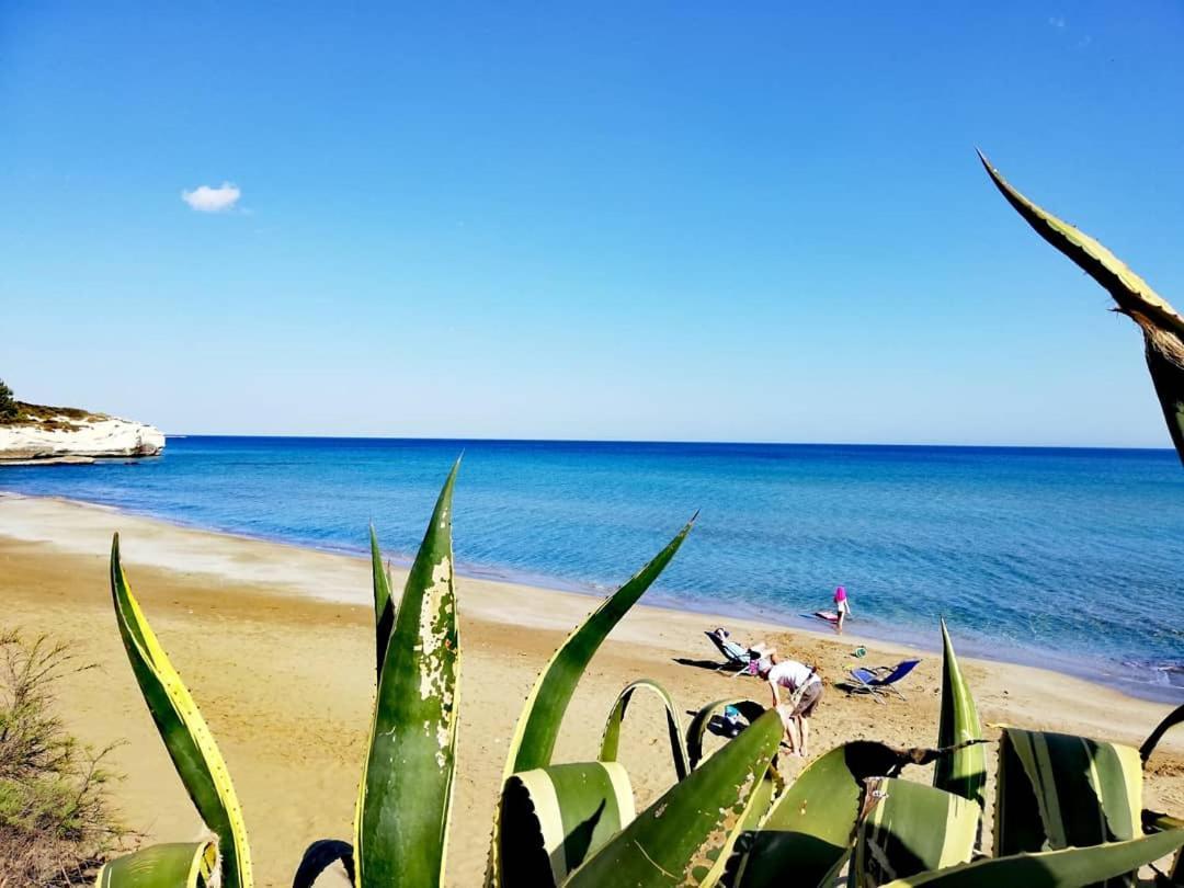 Casa La Conchiglia Sulla Spiaggia Lido di Noto Exteriör bild
